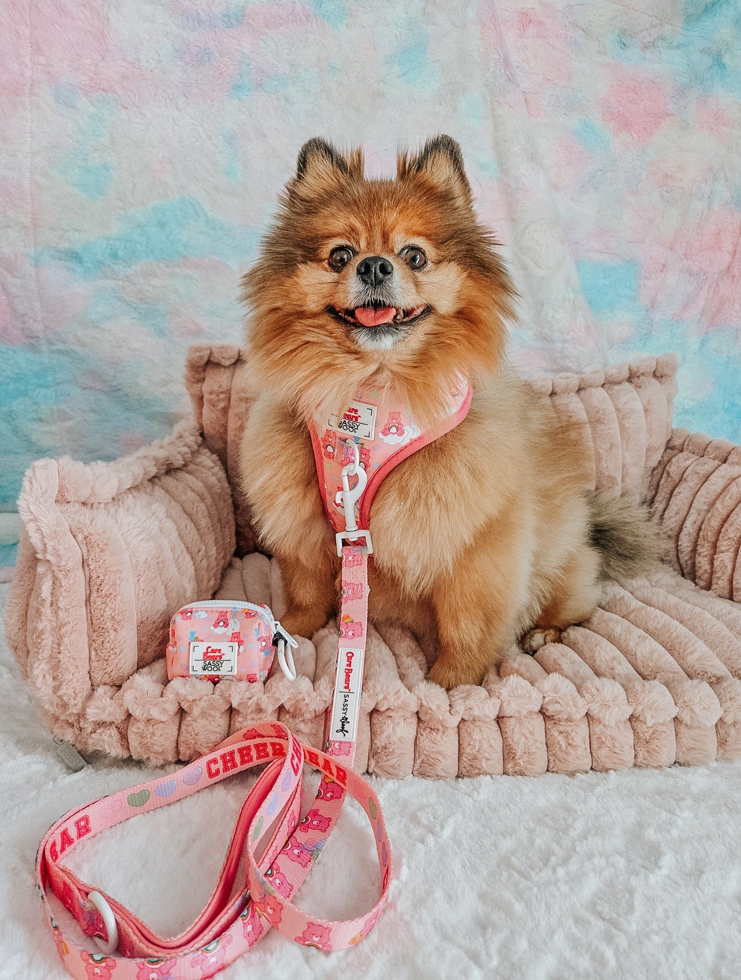 Dog Two Piece Bundle - Care Bears™ Cheer Bear