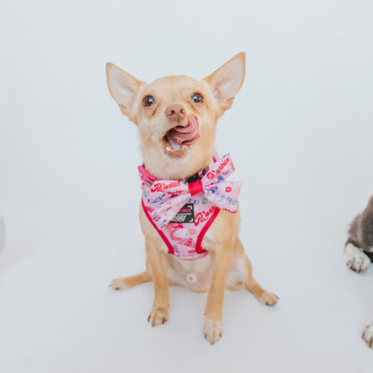 Dog Two Piece Bundle - Mean Girls™