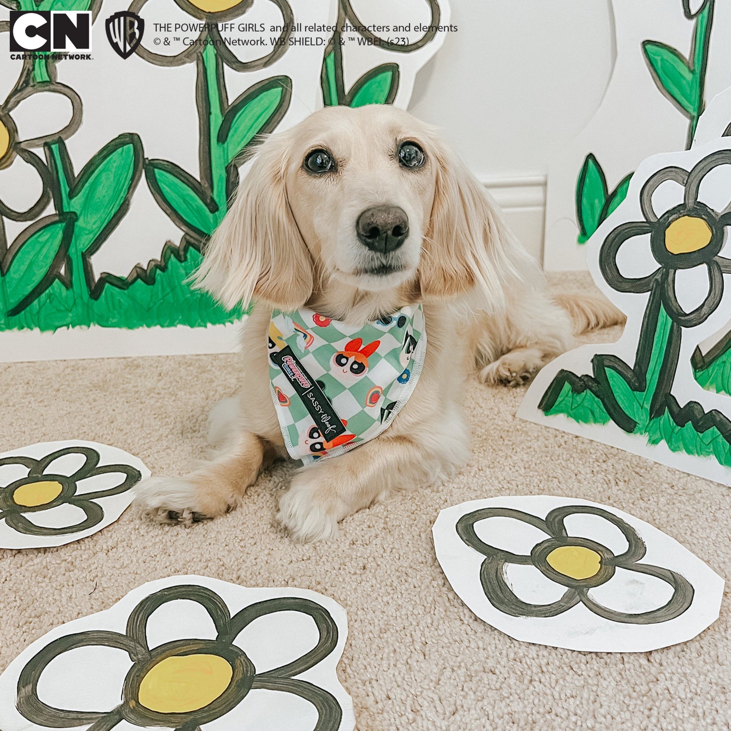 Dog Bandana - The Powerpuff Girls™ (Green)