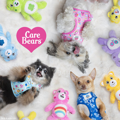 Dog Two Piece Bundle - Care Bears™ Cheer Bear