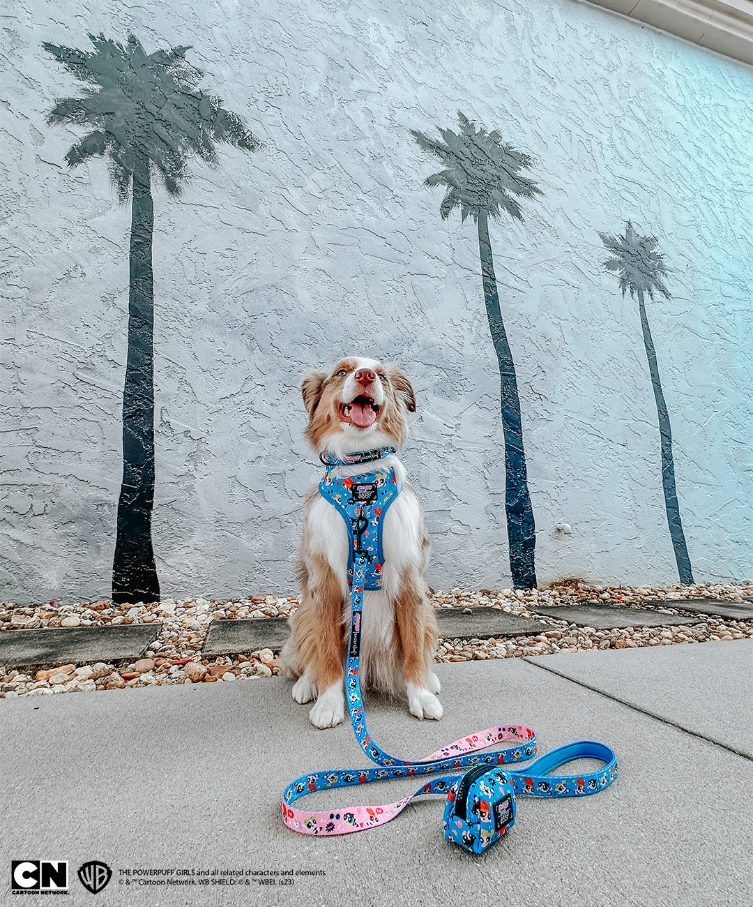 Dog Adjustable Harness - The Powerpuff Girls™ (Blue)