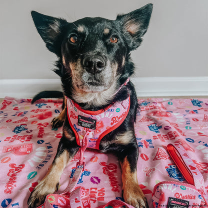 Dog Two Piece Bundle - Mean Girls™