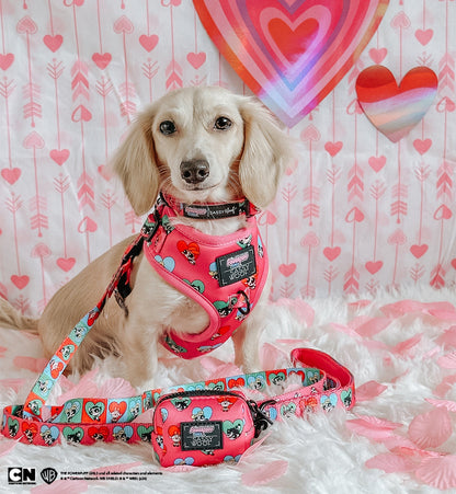 Dog Collar - The Powerpuff Girls™ (Love)