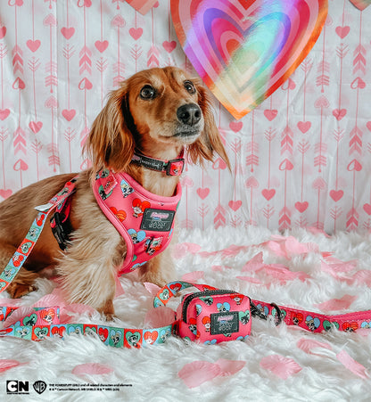 Dog Adjustable Harness - The Powerpuff Girls™ (Love)