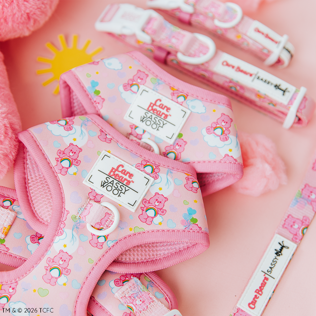 Dog Two Piece Bundle - Care Bears™ Cheer Bear