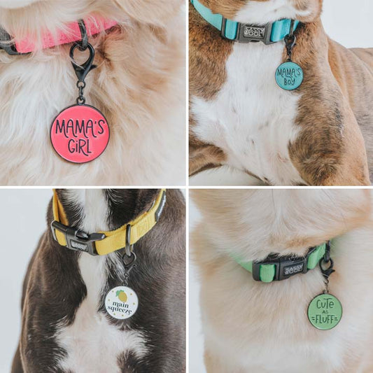 Collar Tag Bundle (Wholesale)