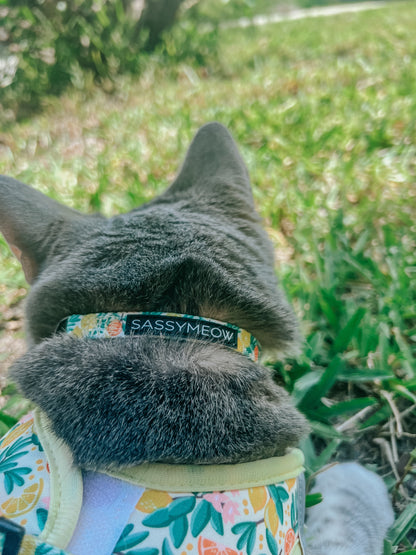 Cat Collar - Zest Friends