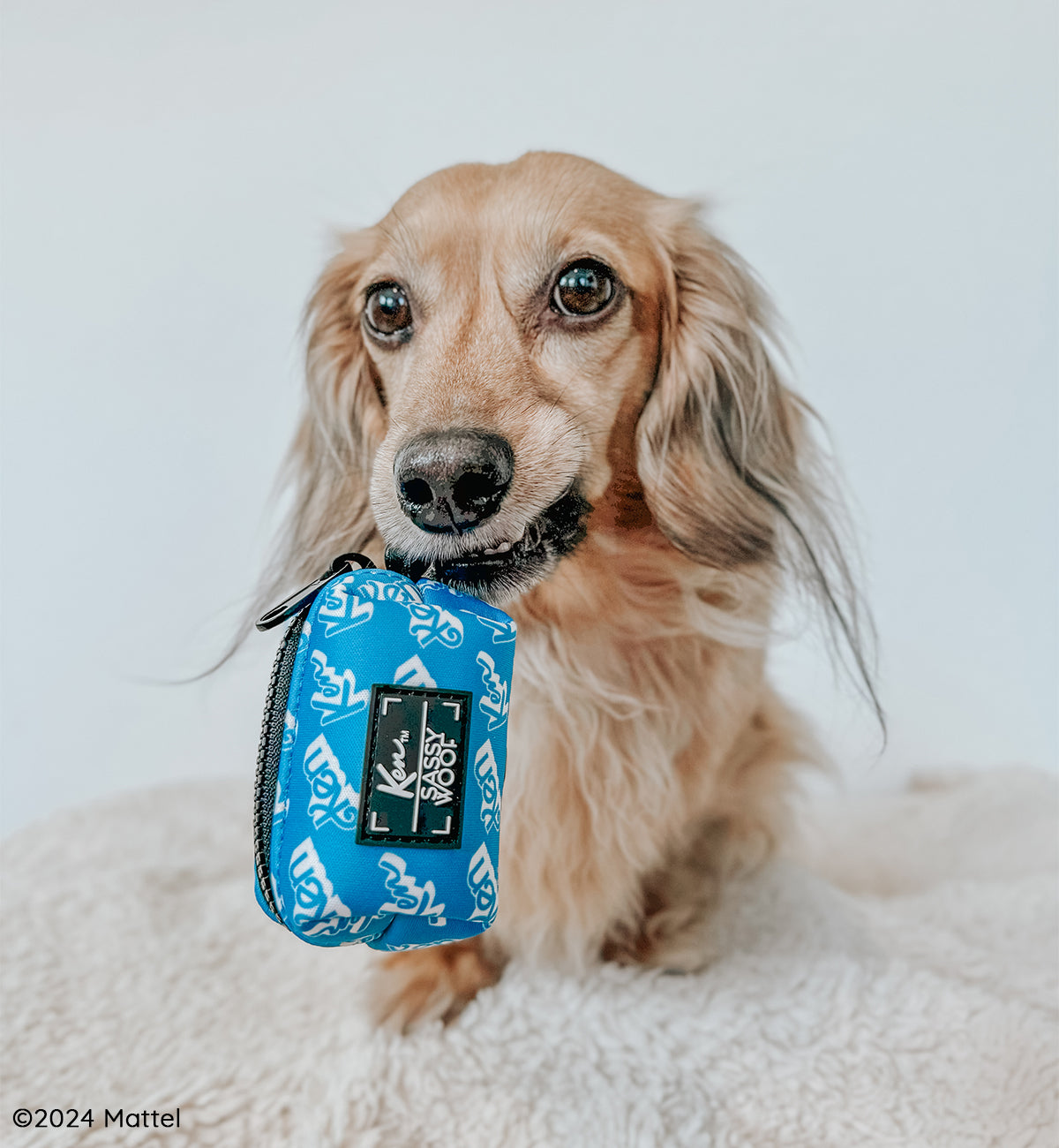 Dog Waste Bag Holder - KEN™