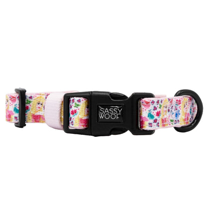 Harness Three Piece Bundle - Disney's Aurora