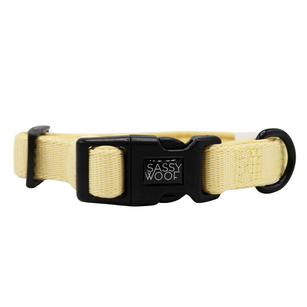 Dog Three Piece Bundle - Daffodil