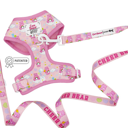 Dog Two Piece Bundle - Care Bears™ Cheer Bear
