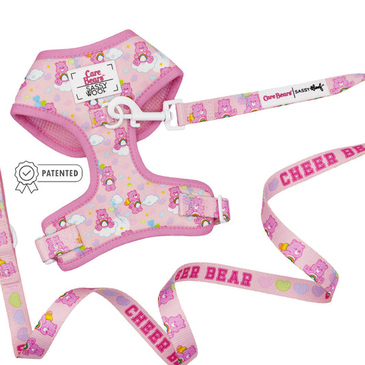 Dog Two Piece Bundle - Care Bears™ Cheer Bear