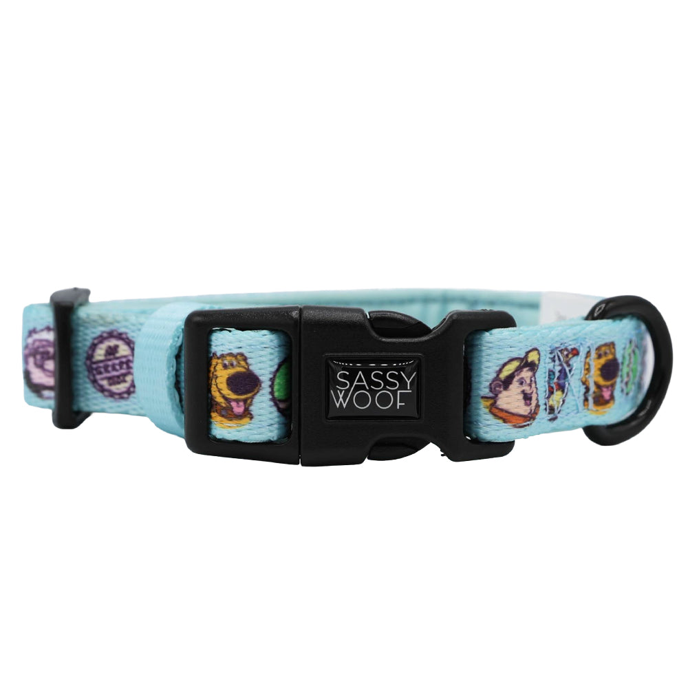 Dog Collar Three Piece Bundle - Disney and Pixar's Up