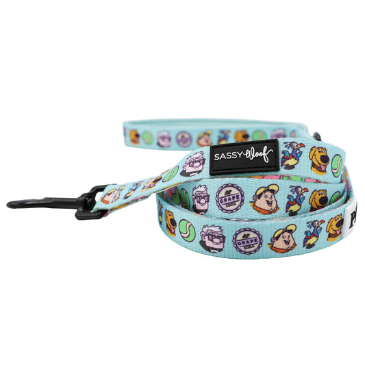 Dog Leash - Disney and Pixar's Up