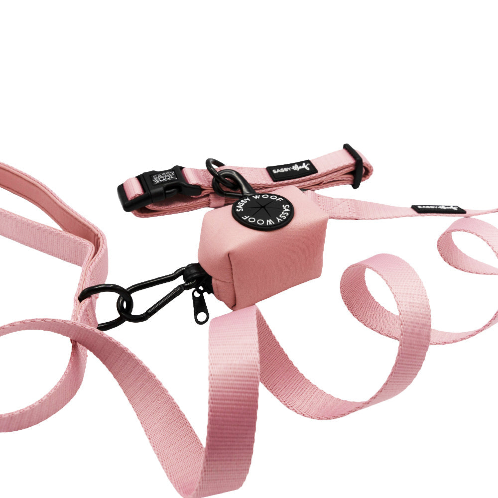 Dog Three Piece Bundle - Dusty Rose
