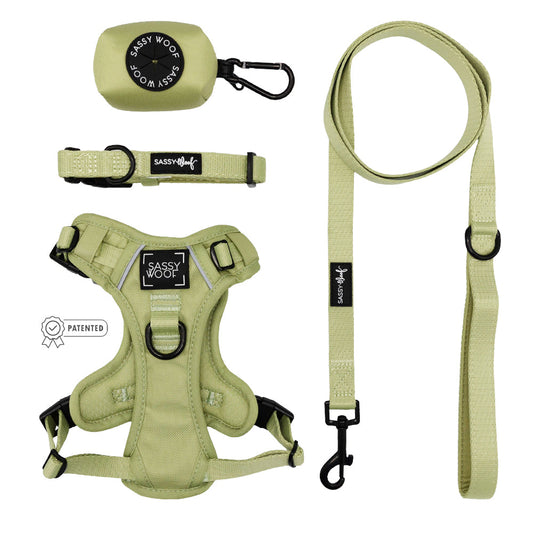 Dog Four Piece Bundle - Matcha