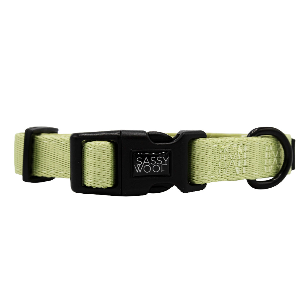 Dog Four Piece Bundle - Matcha