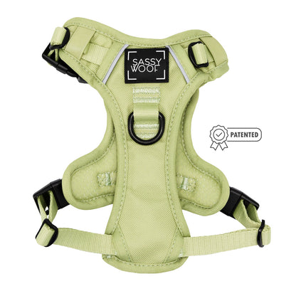 Dog Two Piece Bundle - Matcha