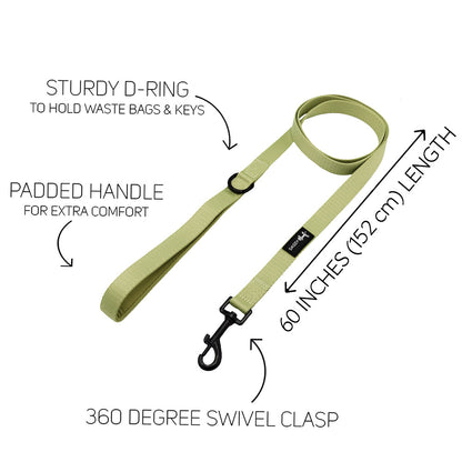 Dog Four Piece Bundle - Matcha