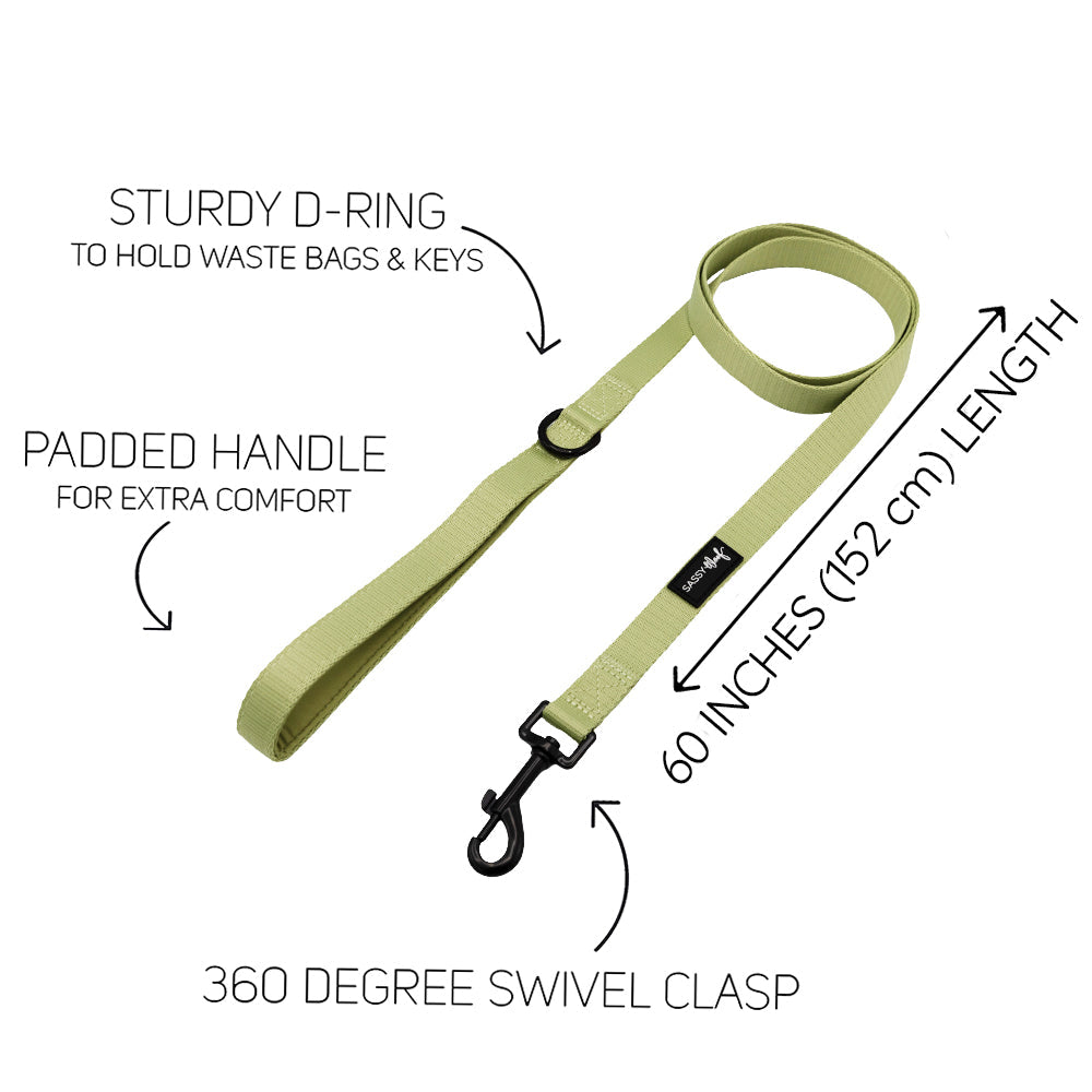 Dog Two Piece Bundle - Matcha