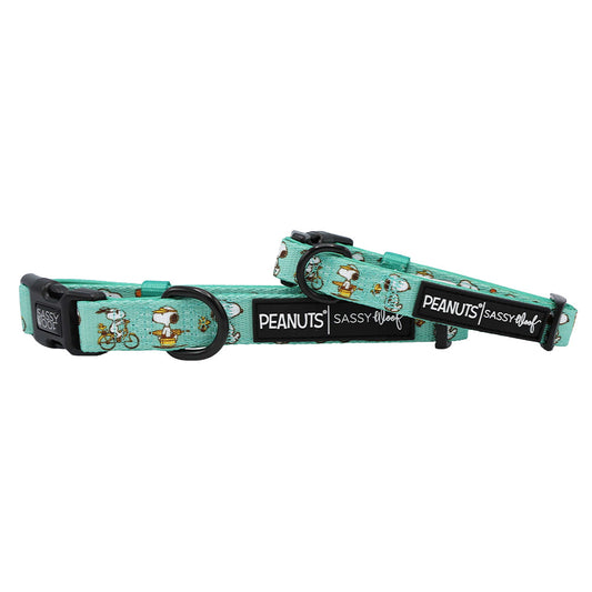 Dog Collar - Peanuts™ Road Tripping