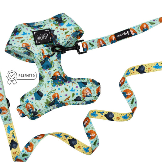 Dog Two Piece Bundle - Disney's Merida