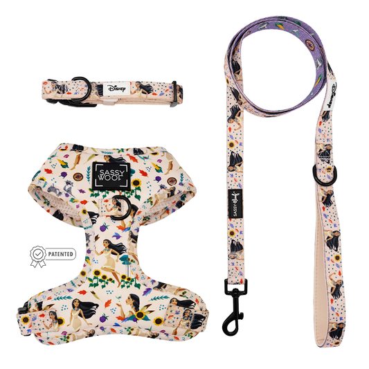 Harness Three Piece Bundle - Disney's Pocahontas