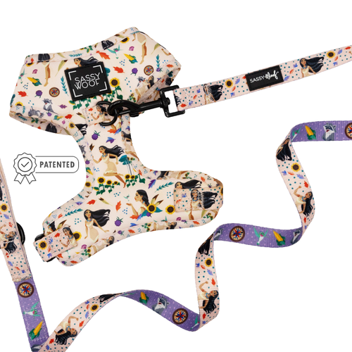 Dog Two Piece Bundle - Disney's Pocahontas