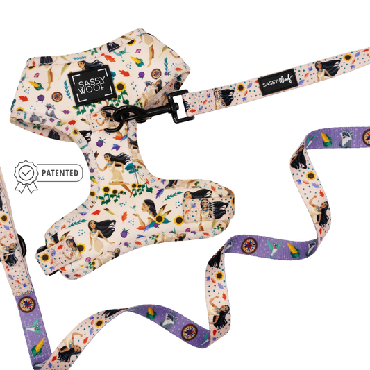 Dog Two Piece Bundle - Disney's Pocahontas