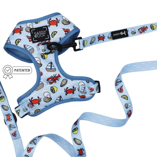 Dog Two Piece Bundle - Coastal Cuties