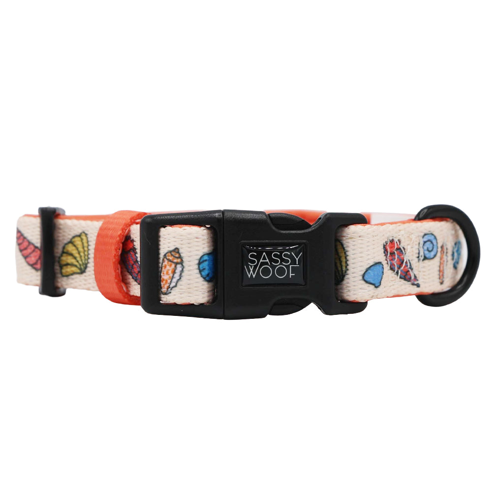 Dog Three Piece Bundle - Shell Yeah