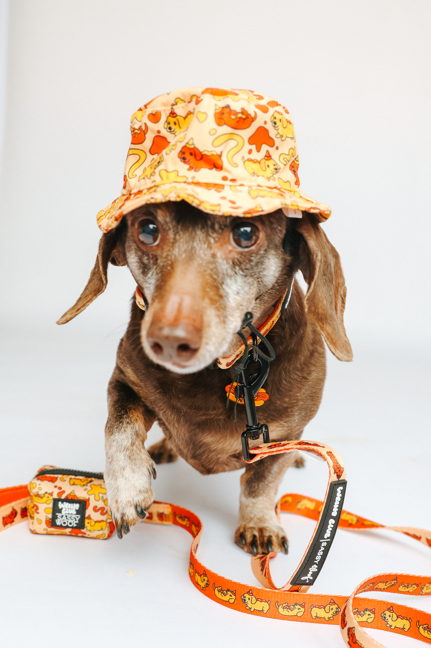 Dog Collar - Hot Dawg