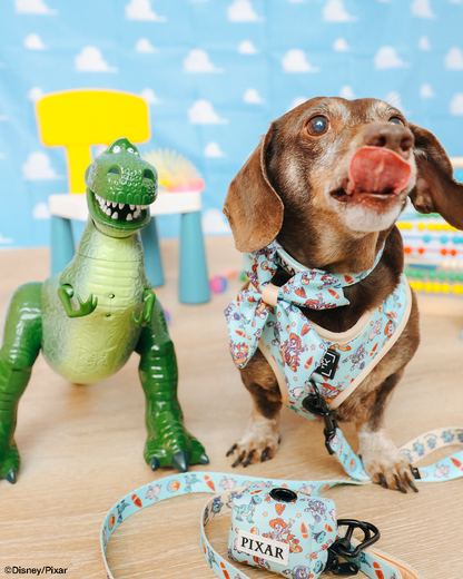 Dog Adjustable Harness - Disney and Pixar's Toy Story