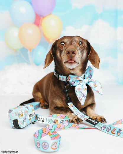 Dog Collar - Disney and Pixar's Up