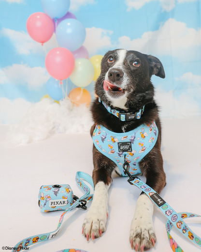 Dog Leash - Disney and Pixar's Up