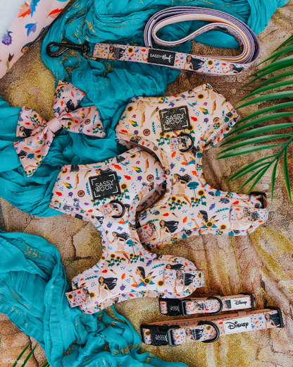 Dog Two Piece Bundle - Disney's Pocahontas