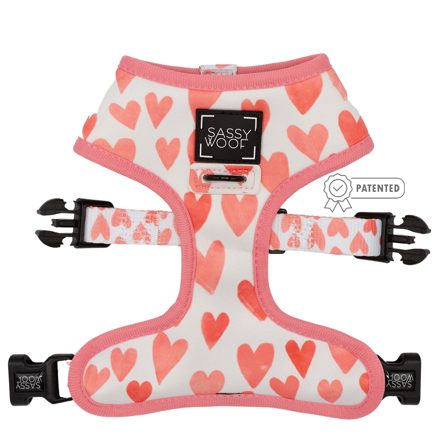 Dog Two Piece Bundle - Dolce Rose