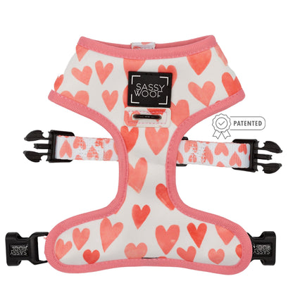 Dog Two Piece Bundle - Dolce Rose