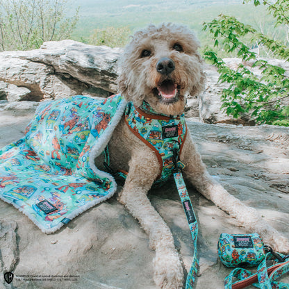 Pet Blanket - Scooby-Doo™