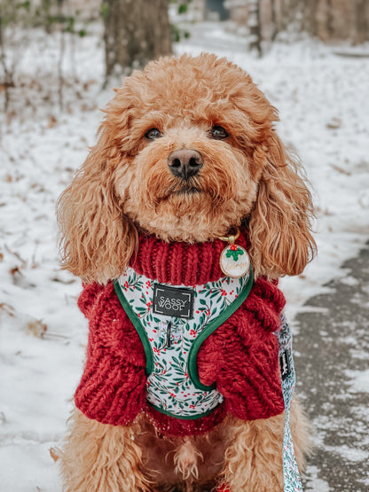 Pet Cable Knit Sweater - Red