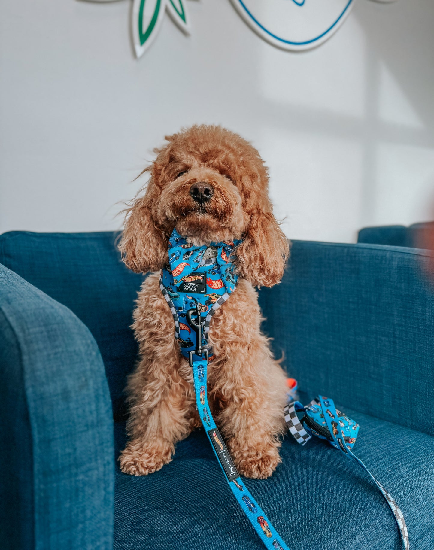 Dog Sailor Bow - Hot Wheels™