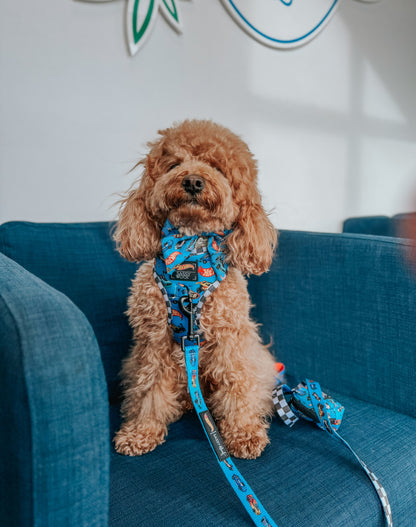 Dog Sailor Bow - Hot Wheels™