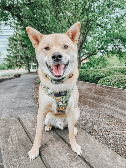 Dog Collar - Haunt Mess