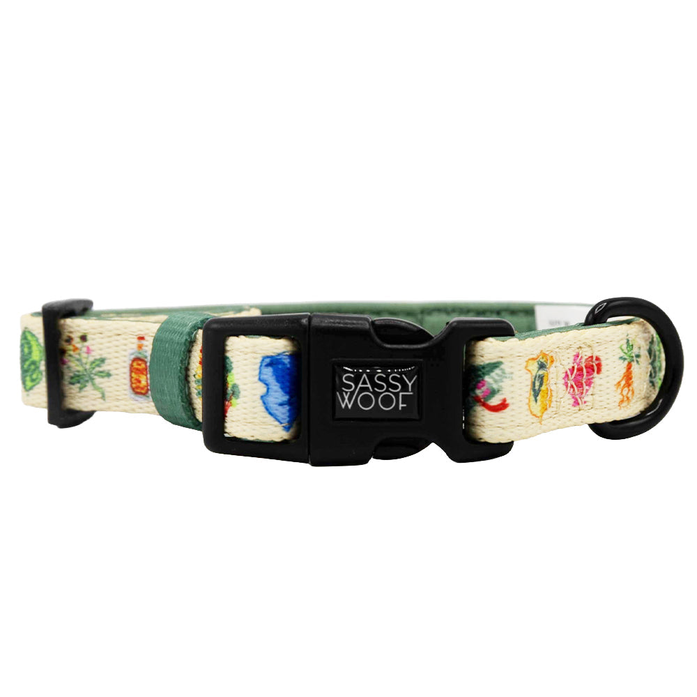 Harness Three Piece Bundle - Harry Potter™ Herbology