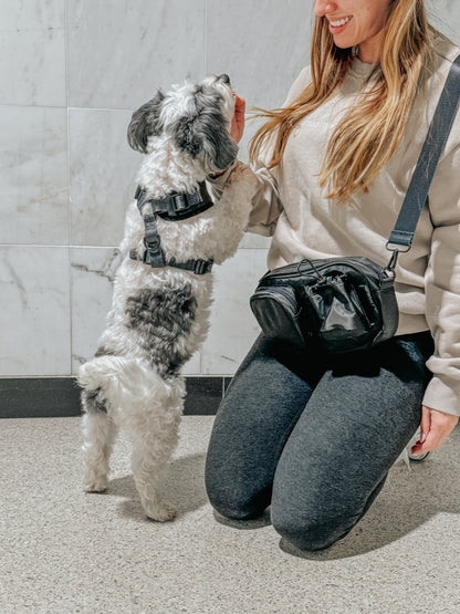 Dog Parent Bag + Strap