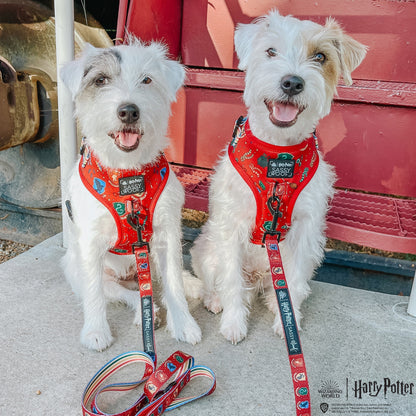 Dog Two Piece Bundle -  Harry Potter™