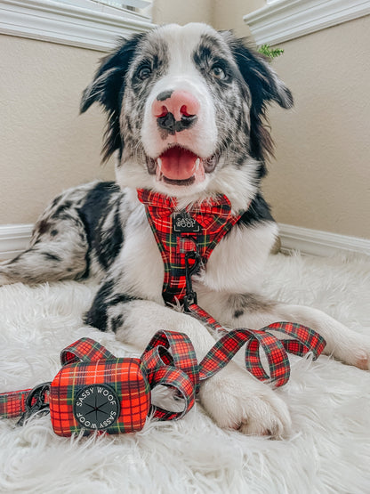 Dog Four Piece Bundle - Deck the Paws