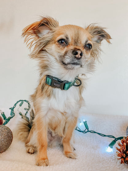 Dog Collar - Barks of Holly