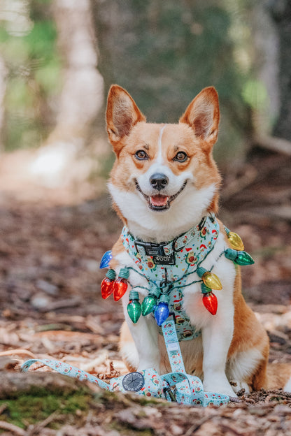 Dog Collar - Jingle Bell Guac