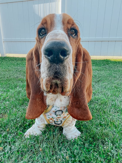Dog Step-In Harness - Sunflower Dreams